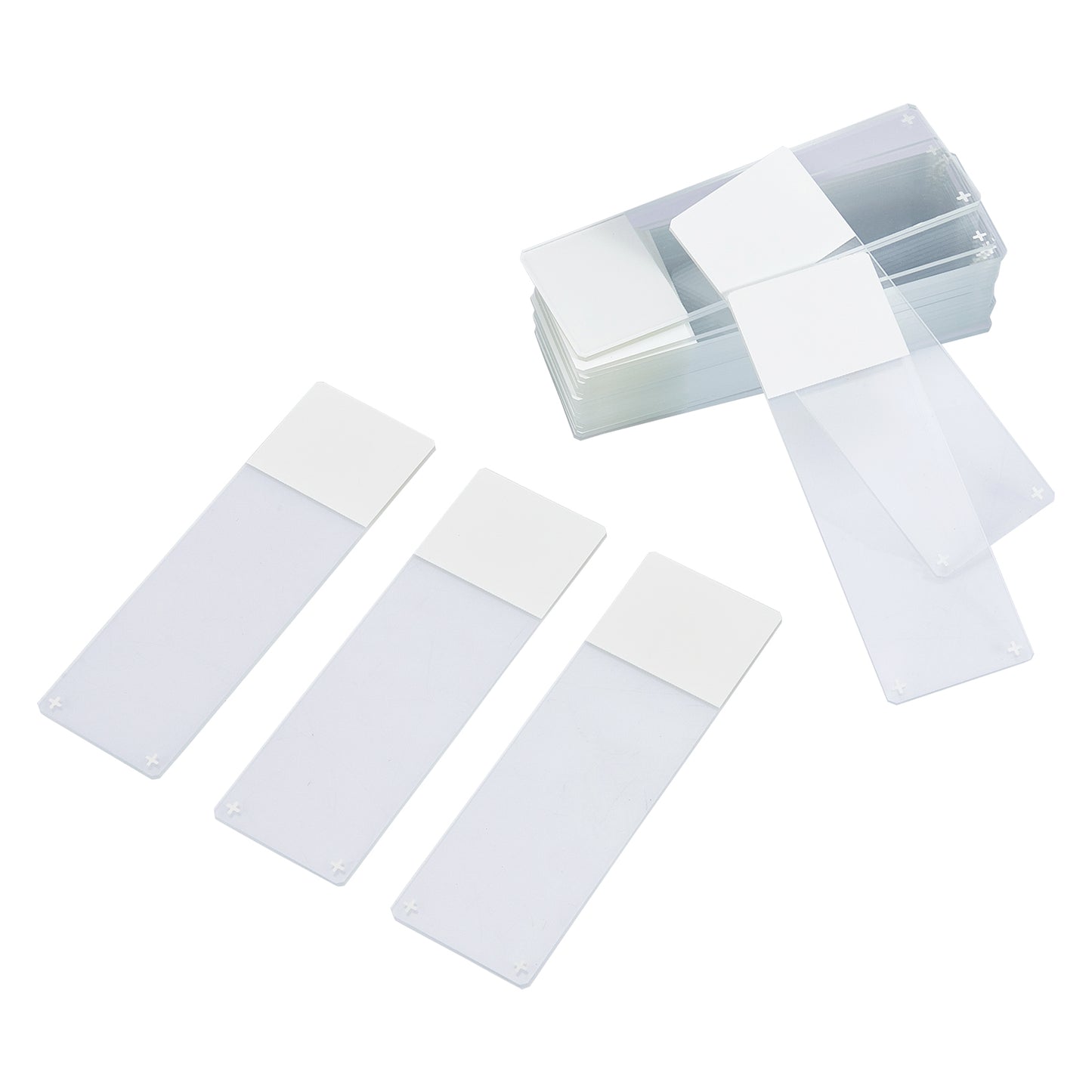 Microscope Slides and Cover Glass