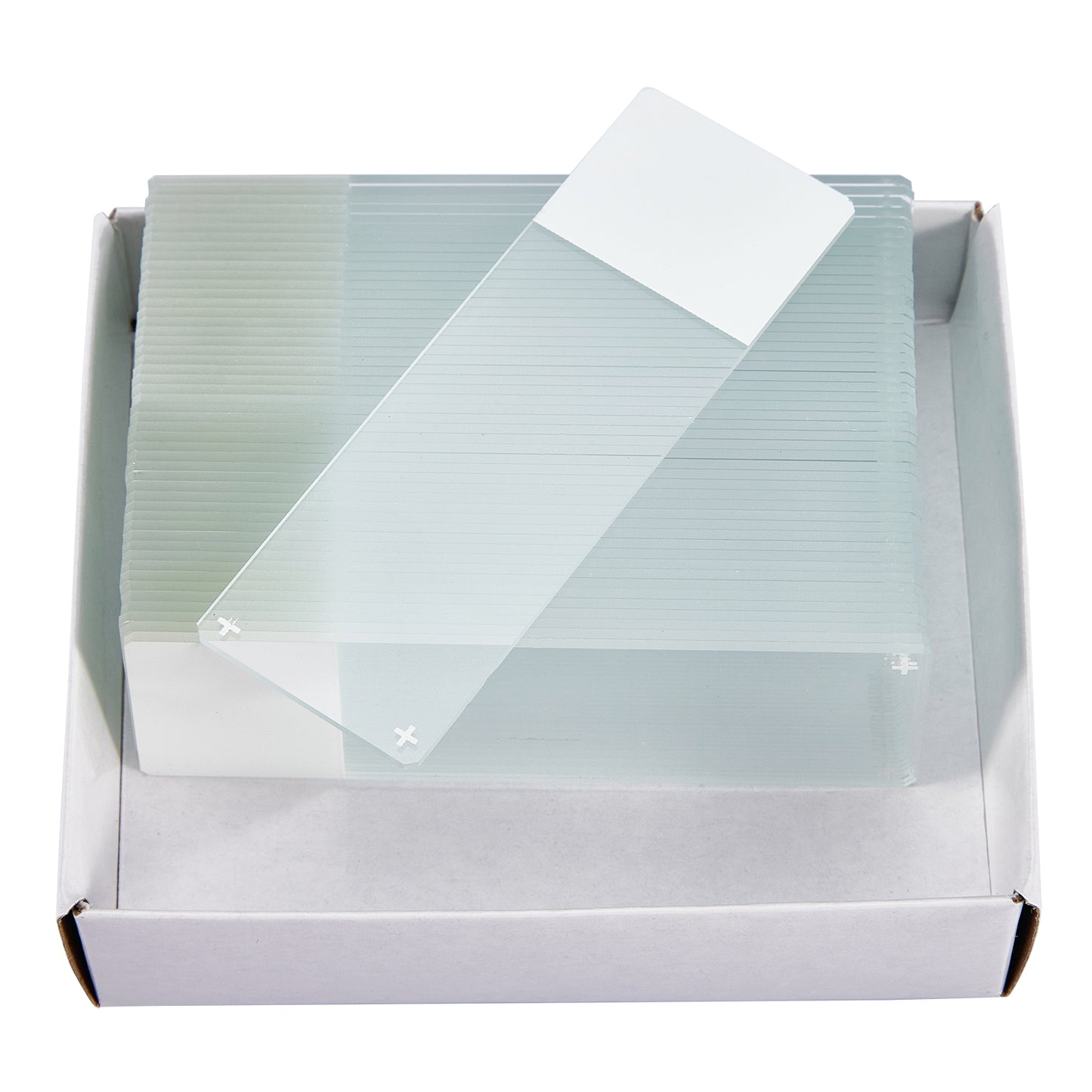 Microscope Slides and Cover Glass